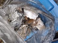 /images/about-meissa/03plastik-aktion/plastic-findings/2025_05_29.jpg